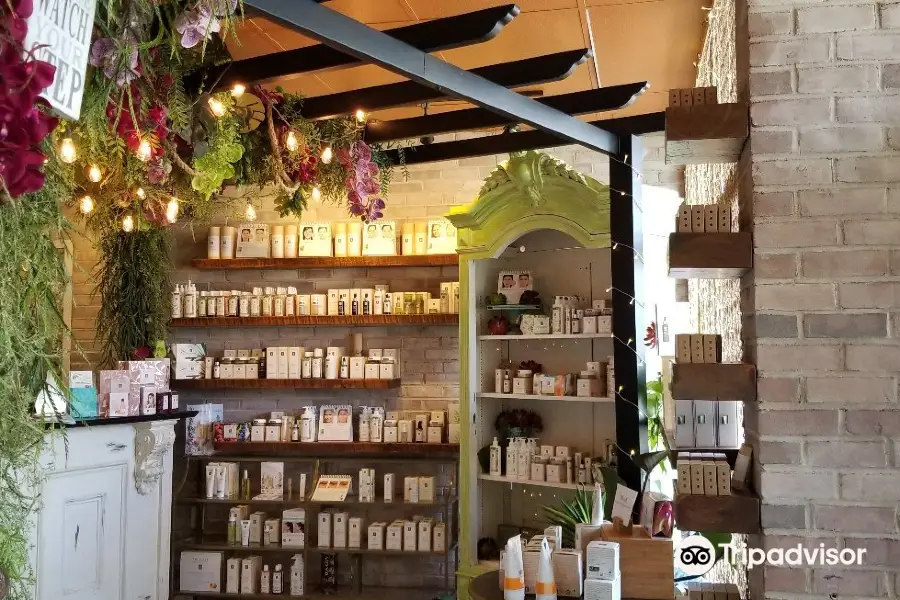 Scents of Serenity Organic Spa