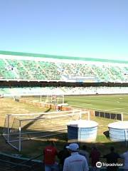 Brinco de Ouro da Princesa stadium