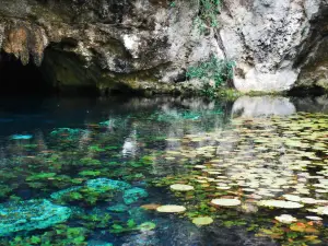 Big Cenote