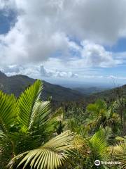 Mt. Britton Lookout Tower