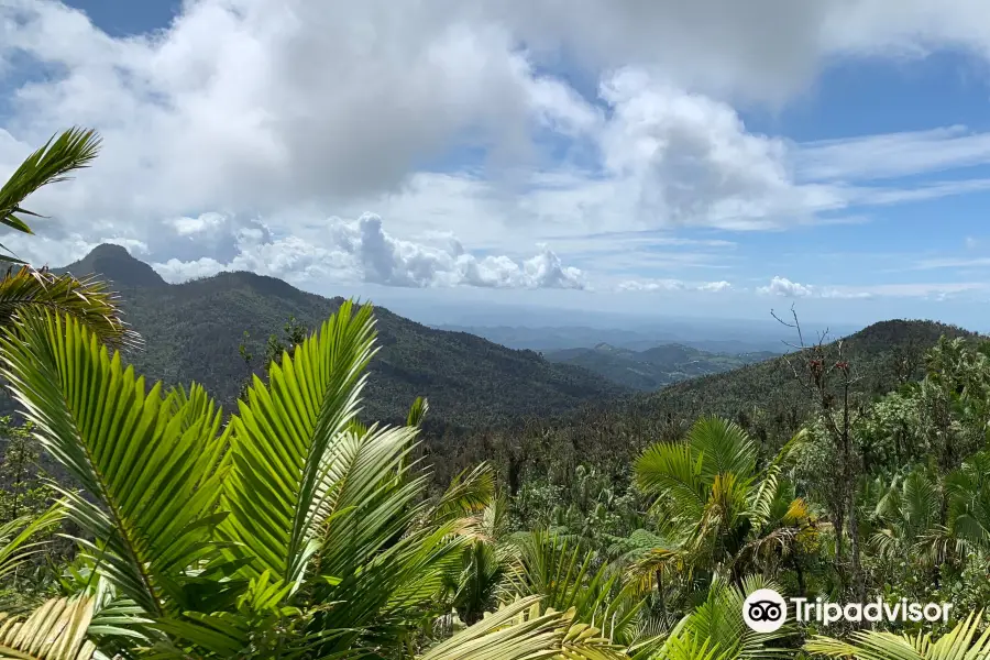 Mt. Britton Lookout Tower