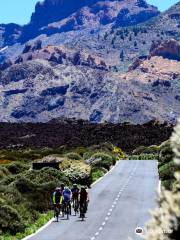 Bike Point Tenerife