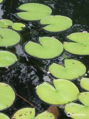 Atlanta Botanical Garden, GAINESVILLE