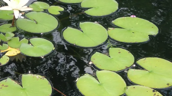 Atlanta Botanical Garden, GAINESVILLE