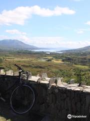 Bike N Beara