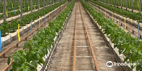 Clisol Turismo Agricola