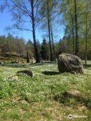 The burial area of Istrehågan