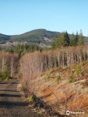 Capitol State Forest