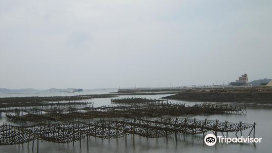 Caiyuan Oyster Culture Park