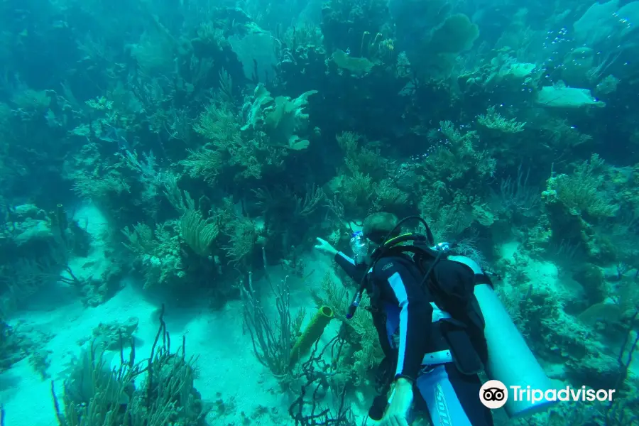Corales Punta Rusia Scuba Diving & Snorkeling