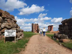 Castillo Navahrudak