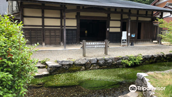 Haikamo