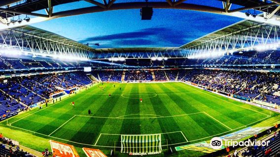 RCDE Stadium