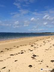 Parc Naturel Régional du Golfe du Morbihan