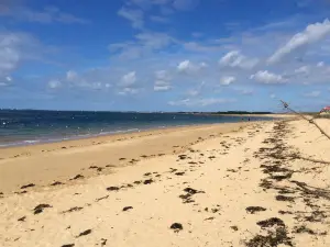 Заповедник Гольф дю Морбиан