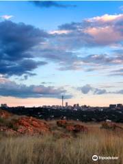 Melville Koppies Nature Reserve