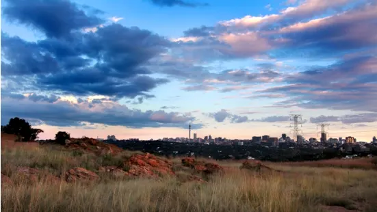 Melville Koppies Nature Reserve