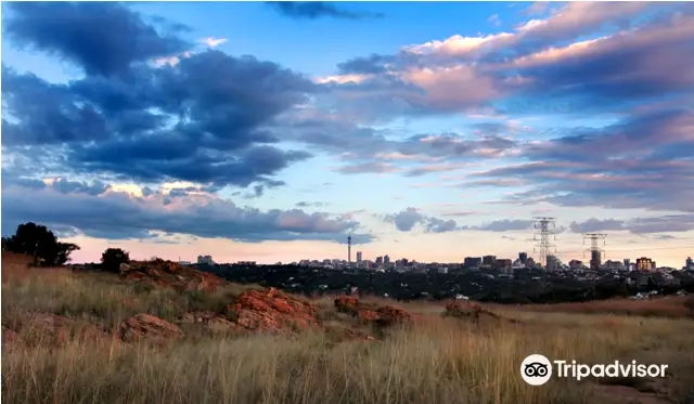 Melville Koppies Nature Reserve