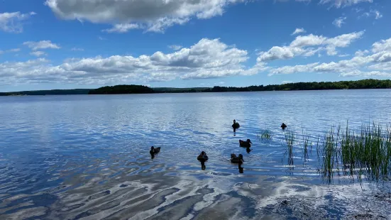 Mira River Provincial Park