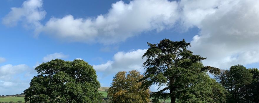 Appuldurcombe House