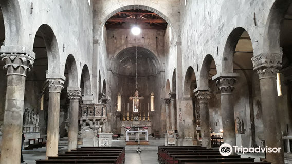 Carrara Cathedral