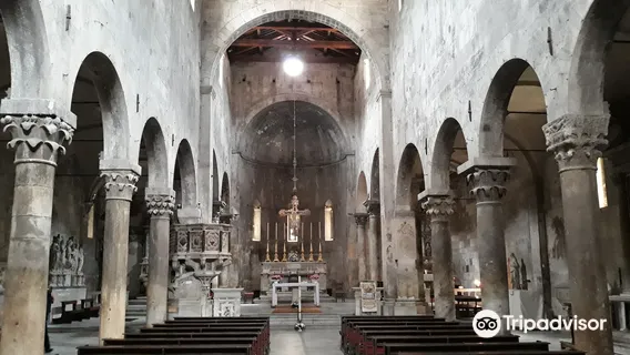 Carrara Cathedral
