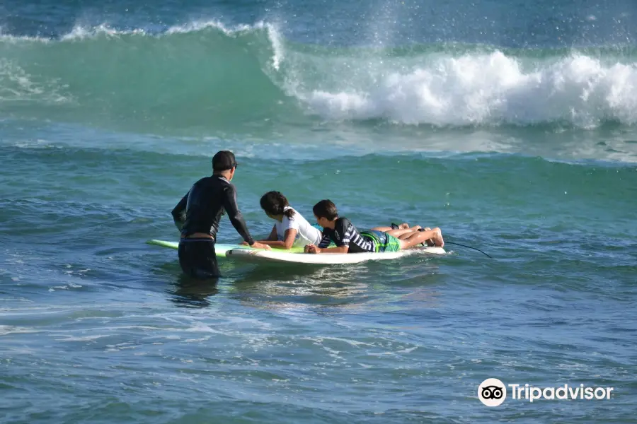 Kauai Surf School