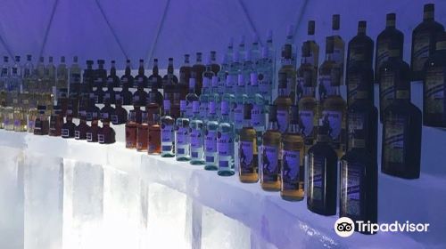 Ice Village