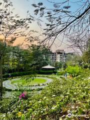 R R Patil Garden