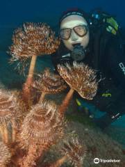 Davy Jones Diving PADI 5 Star Dive Centre
