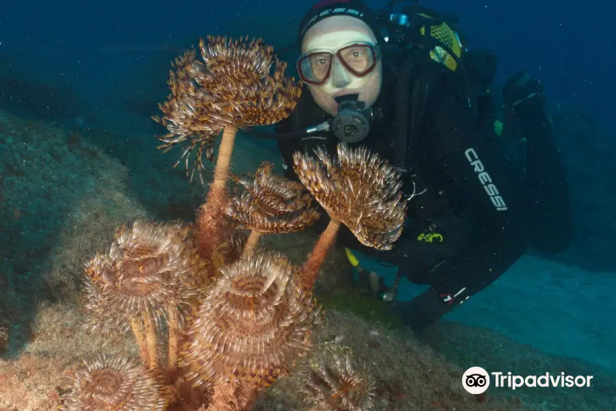 Davy Jones Diving PADI 5 Star Dive Centre