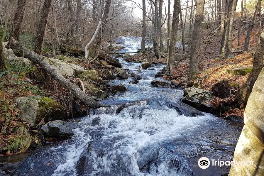 Parc Natural del Montseny