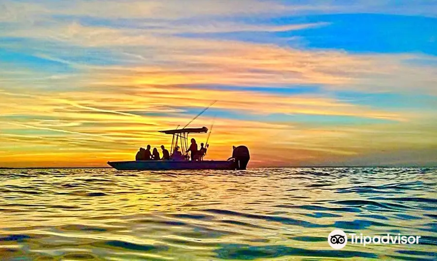 Island Charters: Fishing + Tours