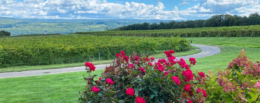 Lakewood Vineyards