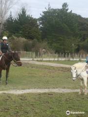 Horse Riding Warkworth Auckland