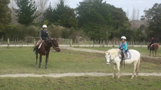 Horse Riding Warkworth