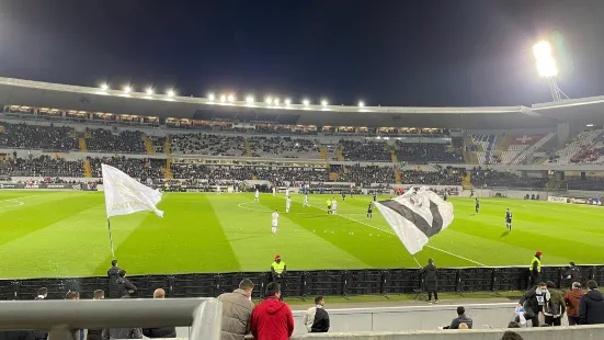 Estadio D. Afonso Henriques
