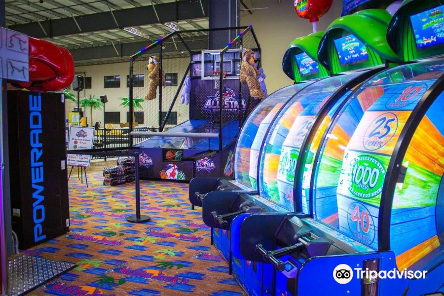 Voli Venezia Lexington