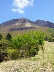 Masumizu field station