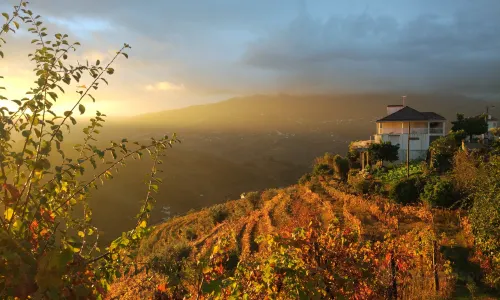 Douro Valley
