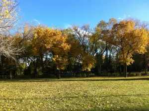 Kiwanis Waterfall Park