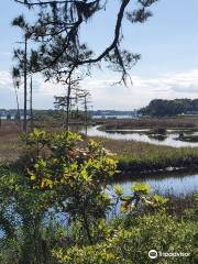 Cape Henry Trail