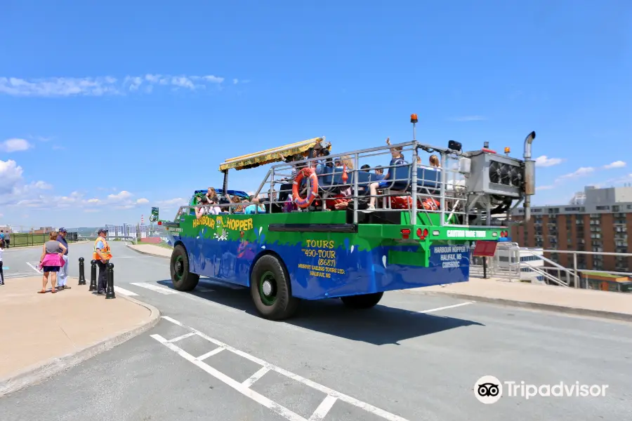 Harbour Hopper Tours