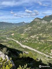 Vautours en Baronnies