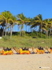 Cable Beach Camels - Camel Rides