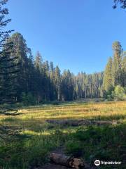 Crescent Meadow Loop