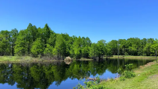 Sheldon Lake State Park & Environmental Learning Center