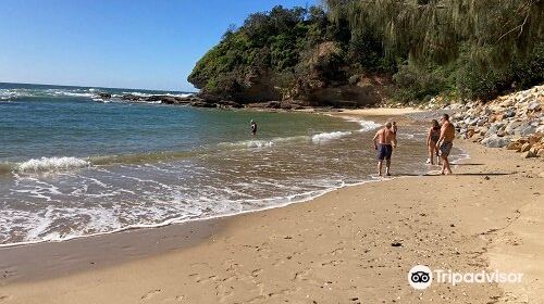 Shelly Beach