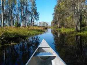 Stephen C Foster State Park