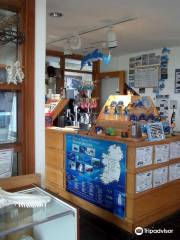 Shannon Dolphin and Wildlife Centre